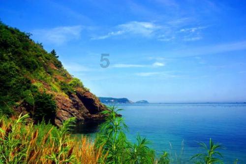夺取珊瑚礁占领海草田?海底策略手游《World of Water》海外上榜暨前十